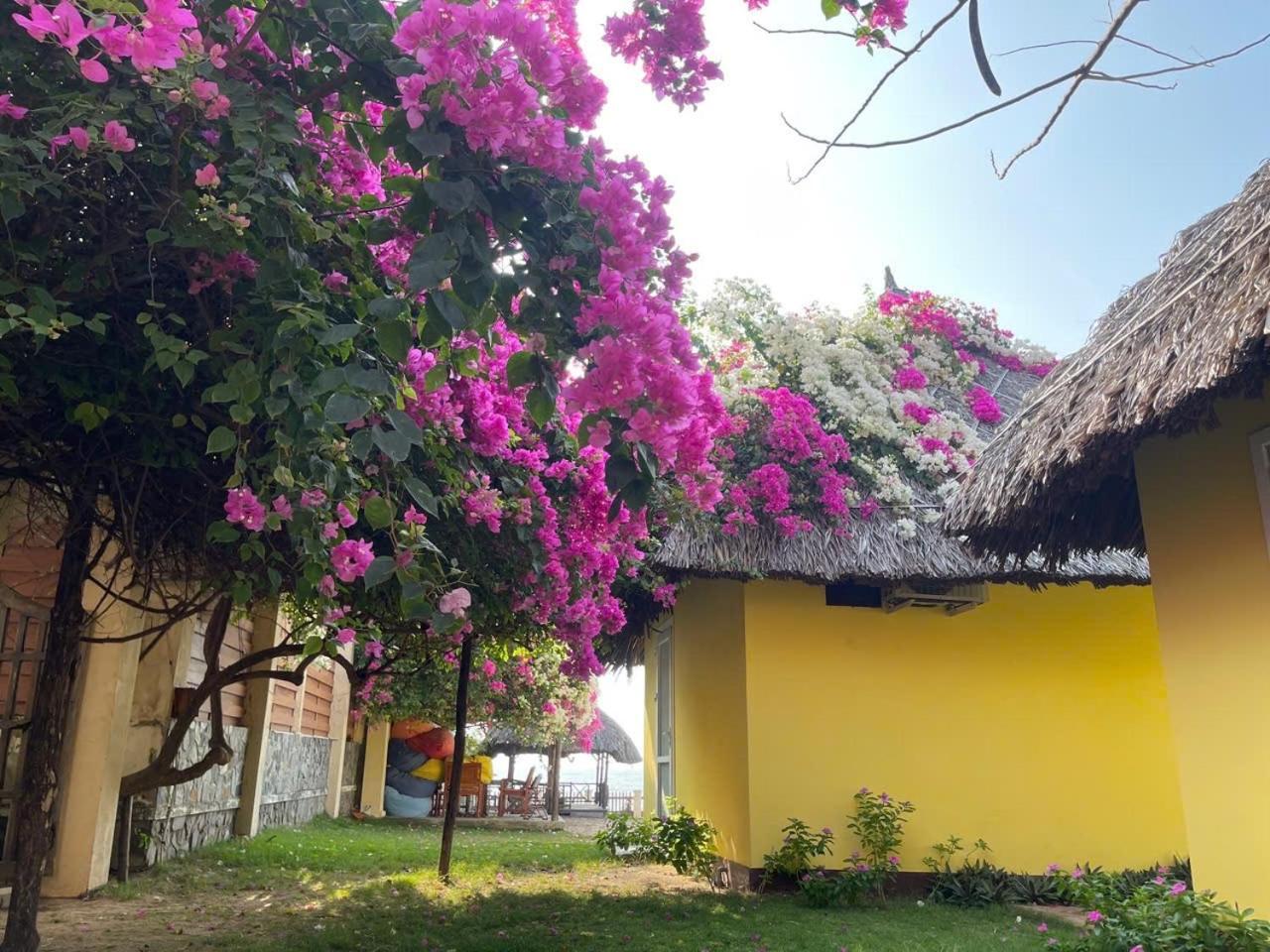 Orchid Boutique Beach Resort Фан Тиет Екстериор снимка
