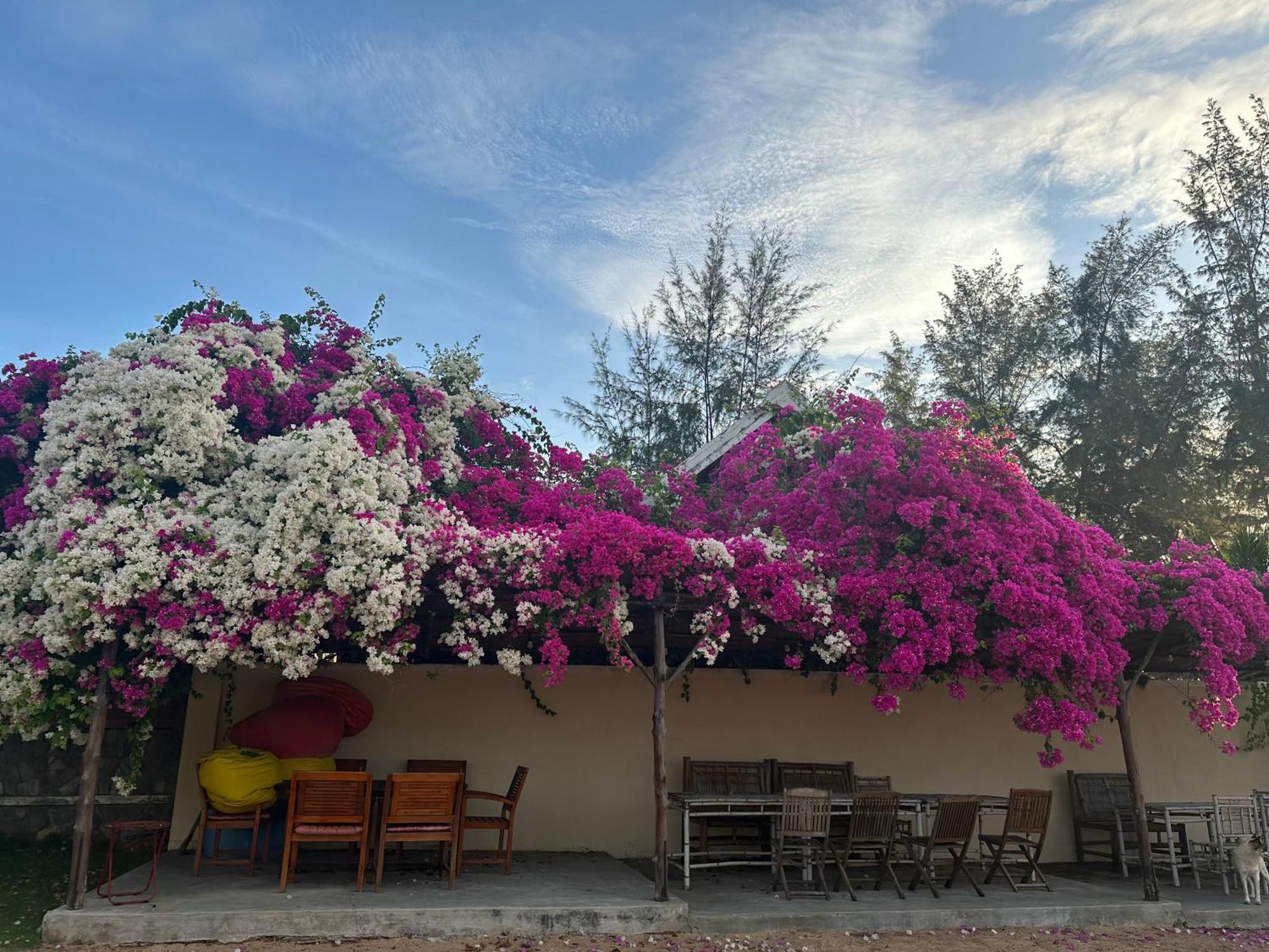 Orchid Boutique Beach Resort Фан Тиет Екстериор снимка