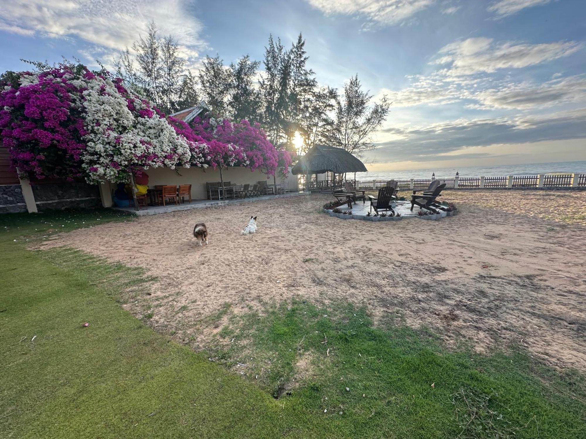 Orchid Boutique Beach Resort Фан Тиет Екстериор снимка